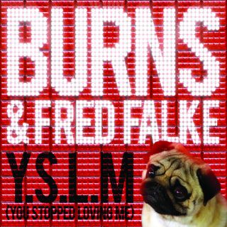 Burns & Fred Falke  - Y.S.L.M (You Stopped Loving Me) (Radio Date 7 Gennaio 2011)